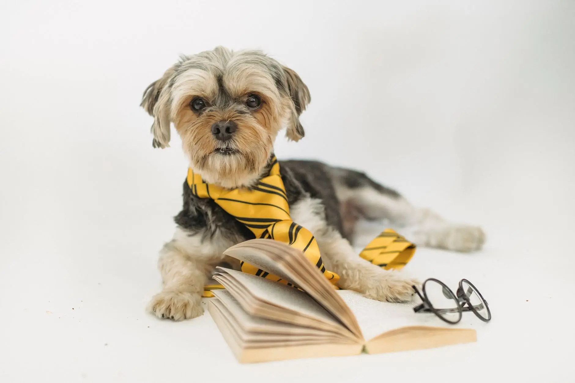 Over the years, I have invested in resources that have helped me improve continually my life.